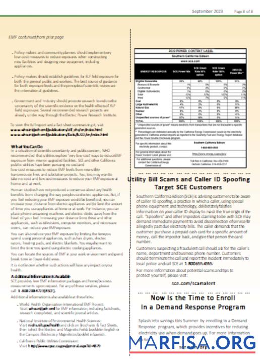 Realistic Southern California EDISON utility business bill, page 8, SCR template